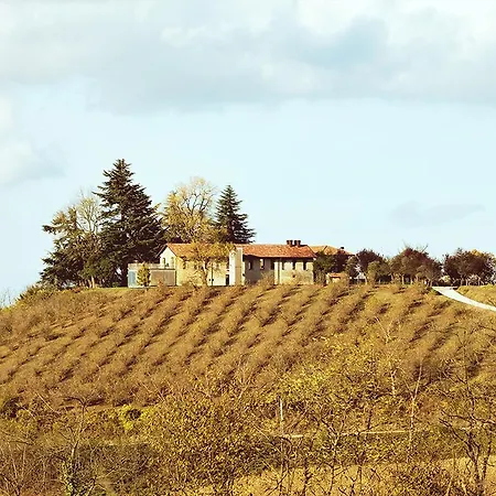 Country house Cascina Langa Trezzo Tinella